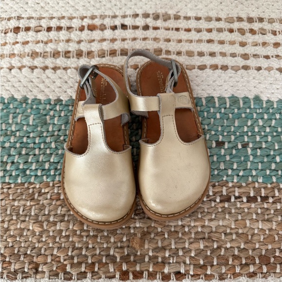 Freshly Picked Platinum Newport clog - Picture 1 of 3